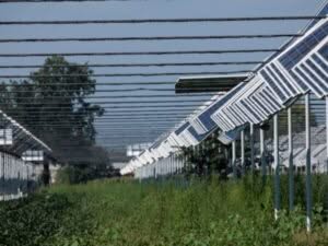 impianto agrovoltaico su strutture elevate, con vegetazione agricola tra le file di pannelli. Configurazione richiesta tra i requisiti degli incentivi agrivoltaico.