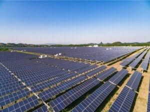 Una vasta distesa di pannelli solari installati su terreni agricoli, con una configurazione ordinata e uniforme.