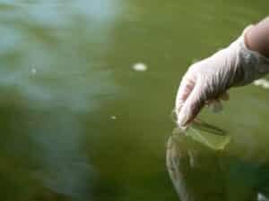 Una mano con guanto che raccoglie un campione di acqua torbida per l'analisi delle acque reflue