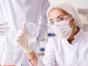 Un tecnico di laboratorio esamina una piastra Petri contenente colonie batteriche, illustrando il processo di analisi microbiologica delle acque reflue.