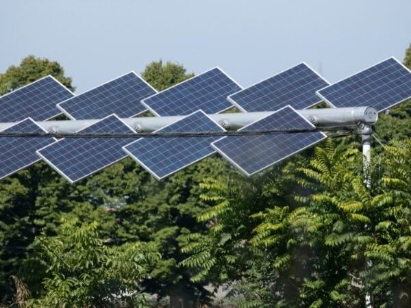 impianti agrivoltaici sopra delle piante