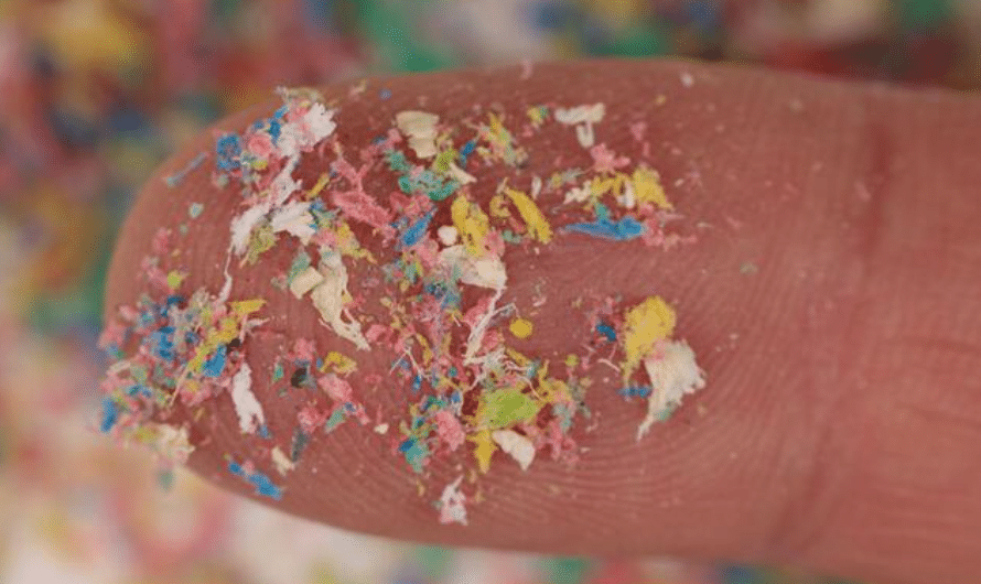 Piccolissimi pezzettini di plastica colorata sulla punta di un dito